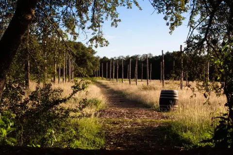 Jester King Brewery — photo 5