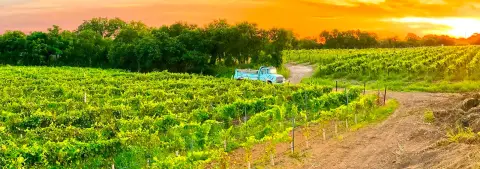 Carter Creek Winery Resort & Spa — venue photo 4